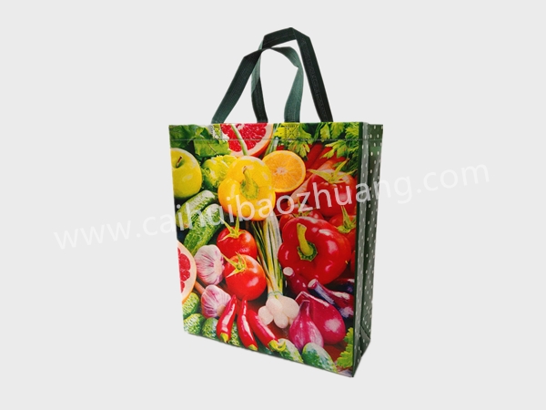 彩匯包裝  外貿訂單手提袋 定制高端材質手提袋